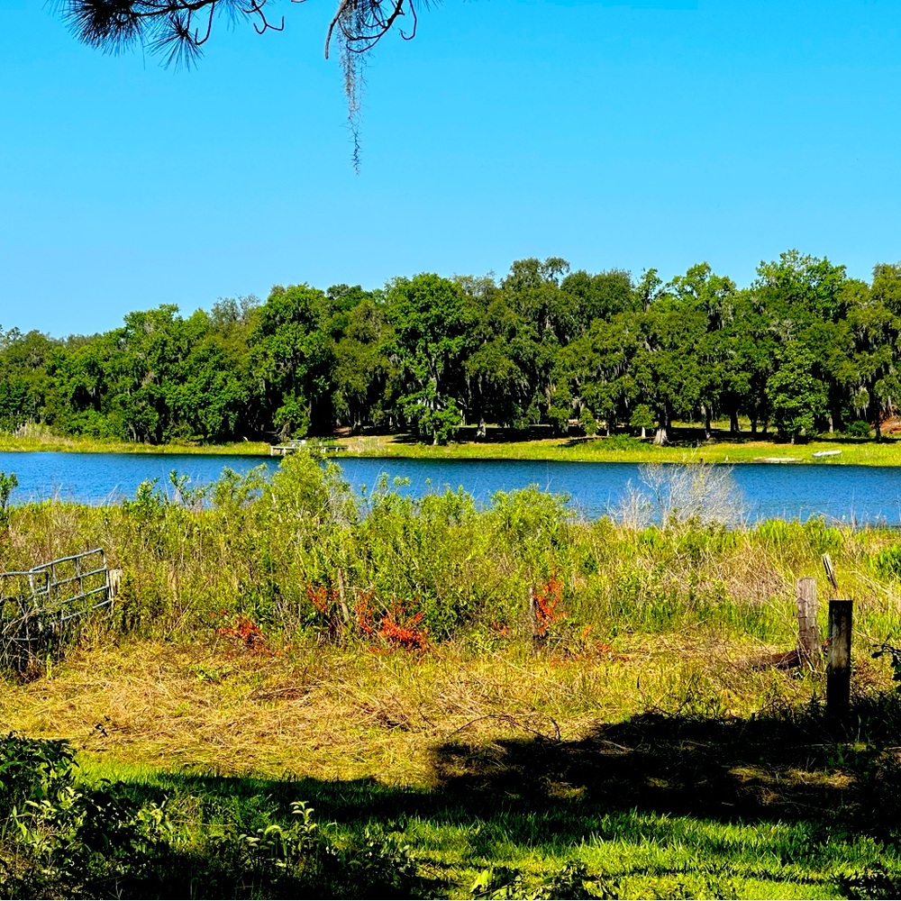 Meet your Posher, Autumn